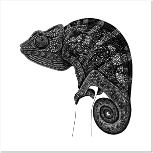 Chameleon illustration Posters and Art